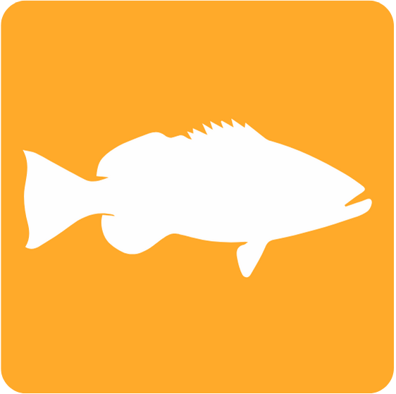 Fishing Experience fish yellow icon